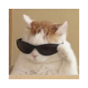 BluffCat