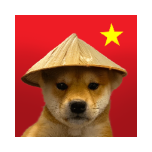 DOG WIF CHINESE HAT