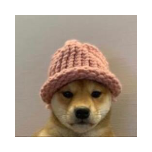 WIF on ETH
